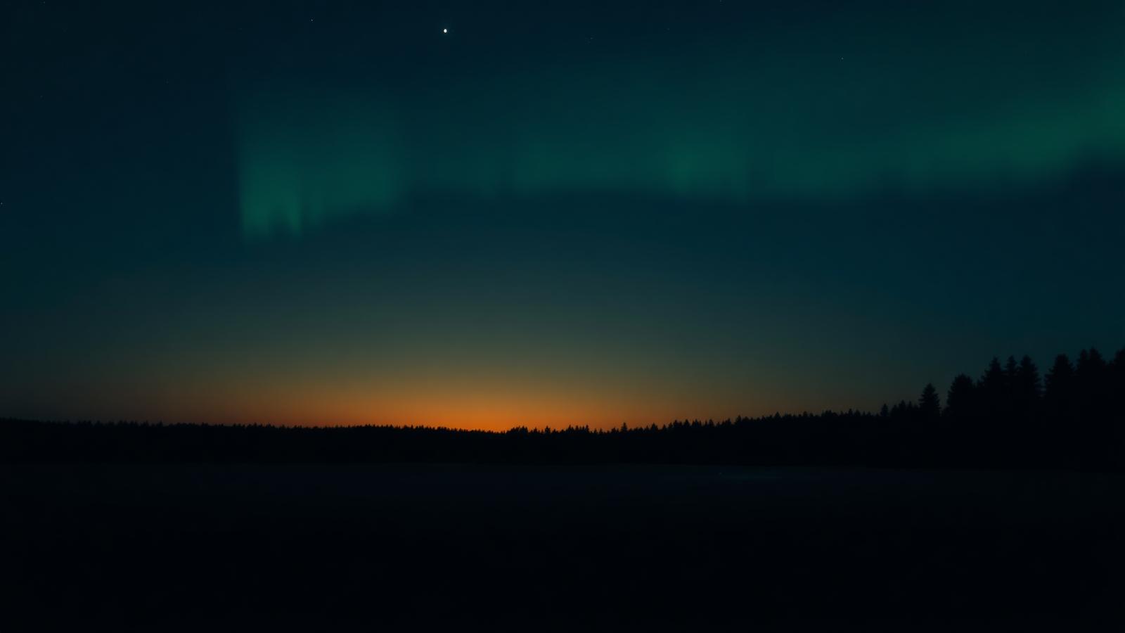 Evergreen treeline under a northern Minnesota night sky